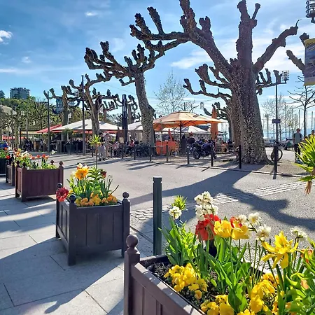 Les Saules * Thonon-les-Bains