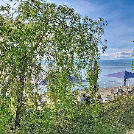 Les Saules Thonon-les-Bains
